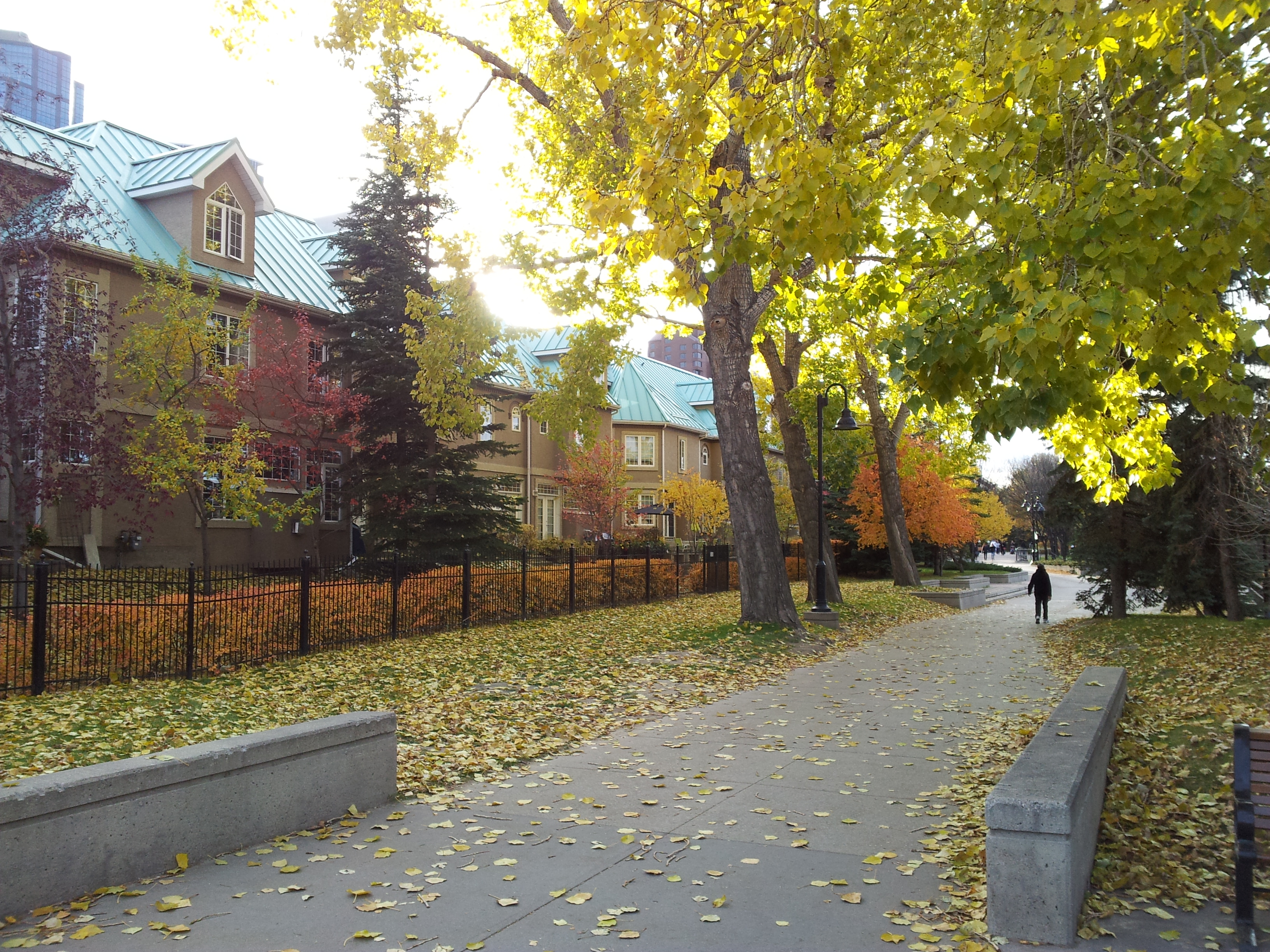 6 The Fall - Eau Claire Pathway Calgary