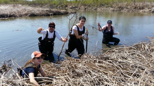 David Almeida poses in a river with fellow interns in a river