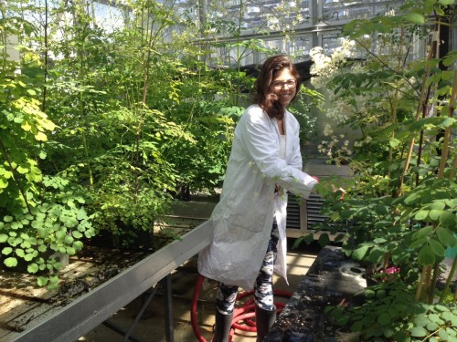 Fernanda Ferreira Pazin interns in a greenhouse watering plants